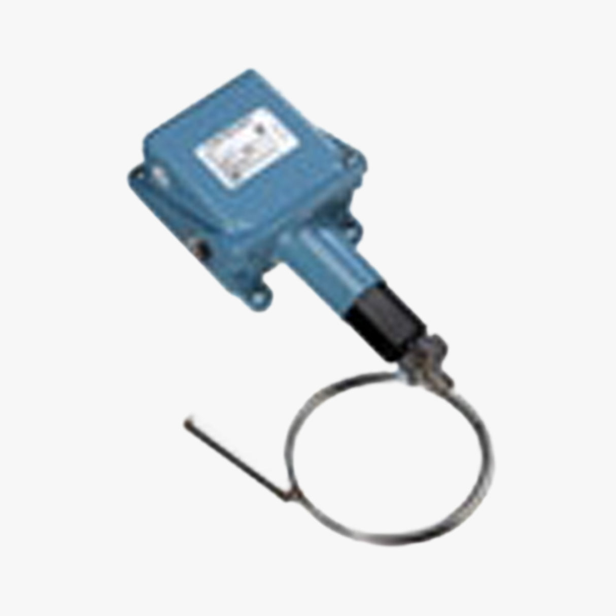Bulb & Capillary Thermostat NEMA 4X